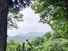 -九华山风景区