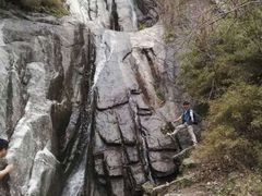 -王顺山国家森林公园