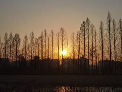 -金银湖国家城市湿地公园