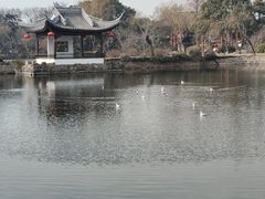-无锡蠡湖国家湿地公园-蠡园