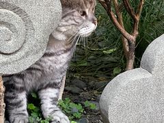 -龙华寺