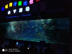 -泉城欧乐堡海洋极地世界