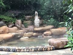 -天目湖涵田半山温泉