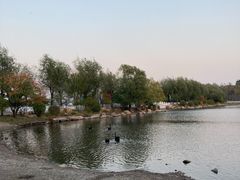 景点-长春市南湖公园