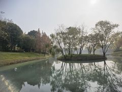 -贡湖湾湿地公园
