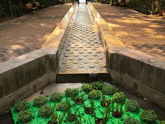 -苏州河梦清园环保主题公园