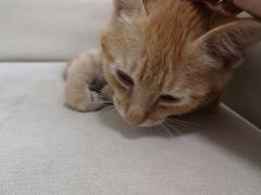 -觅时光手作·香薰·拼豆豆·陶艺DIY