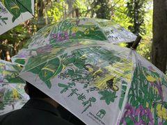 -青青世界