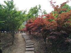 -东海大峡谷