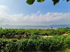 -三亚亚龙湾天域度假酒店