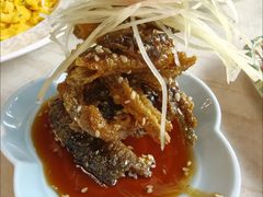-二泉园老菜馆·百年无锡菜
