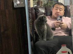 -猫大福·Fortune Cat猫舍(百子湾店)