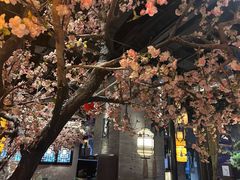 -绿茶餐厅(千岛湖银泰城店)