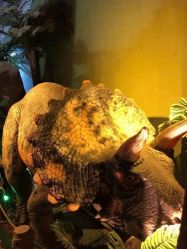 -恐龙探索乐园(磁器口店)