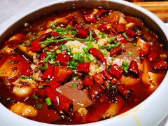 精品毛血旺-新侨小馆(东直门北小街店)