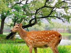 -承德避暑山庄景区