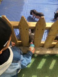 -萌宠亲子动物乐园(槐房万达店)