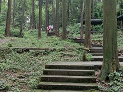 -凤栖山