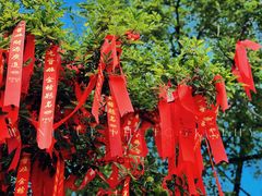 -广州莲花山旅游区