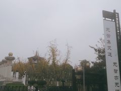 -宜春禅都文化博览园