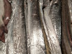 -鸿港海鲜批发市场