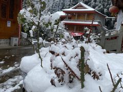 -九峰山