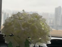 -华厦大酒店·桃源西餐厅·自助餐