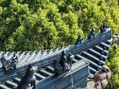 -杭州半山国家森林公园