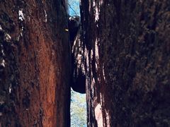 -五女峰国家森林公园