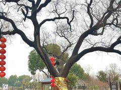-嬉乐湾休闲旅游区