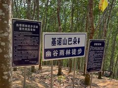 -西双版纳基诺山寨