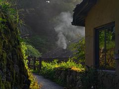 -杨家堂村
