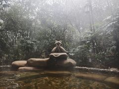 -天目湖涵田半山温泉