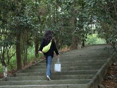 -分塔山省级森林公园