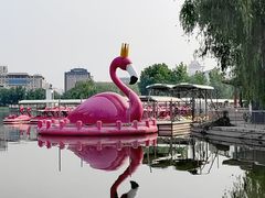 -莲花池公园