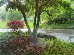 -浙江西子宾馆·瑶园咖啡厅