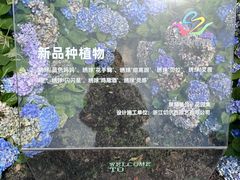 -苏州上方山国家森林公园