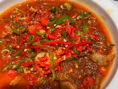 -欧记大排档·景德菜(上海首店)