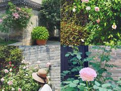 -回龙窝历史文化街区