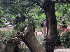 -成都武侯祠博物馆