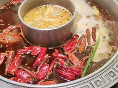 -杨肥肠火锅大排档(火车站花园店)
