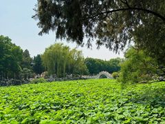 -莲池书院博物馆
