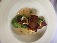 -蝶舍·MAISON PAPILLON