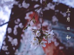 -西北湖绿化广场
