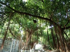 -胡里山炮台