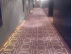 1-上海龙之梦万丽酒店