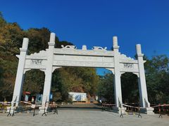 -羚羊峡古栈道森林公园