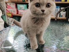 -宠颐生宠物医院外科·内科·皮肤科·影像科(石龙店)