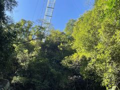 -藏龙百瀑风景区