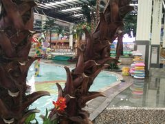 -南宫温泉水世界